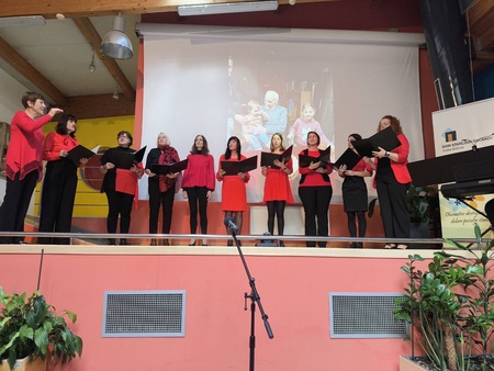 DSO IL. Bistrica